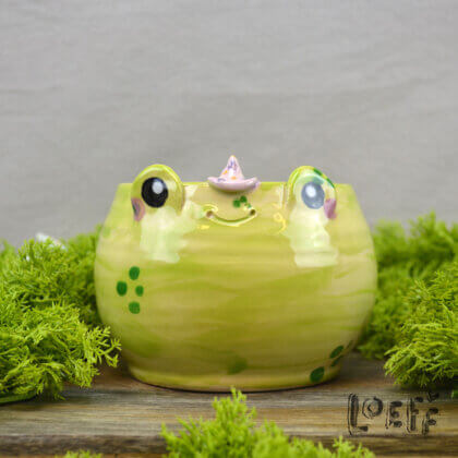 Planter Wizard Froggy